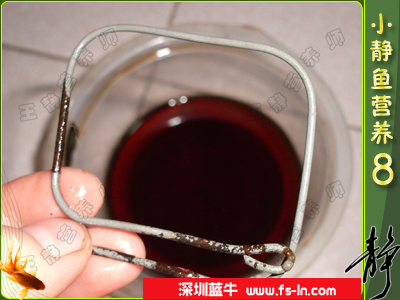 泡了十天的铁丝 泡了十天的铁丝